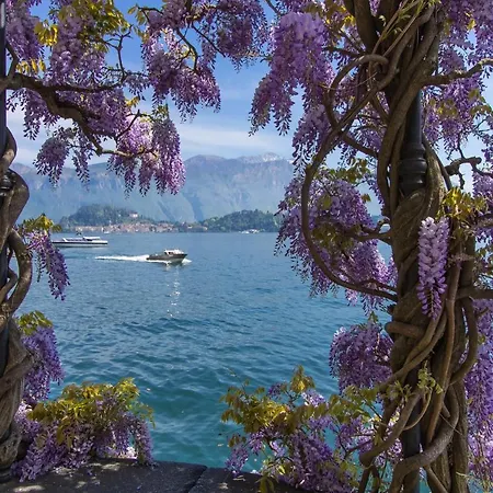 Sant' Andrea *
